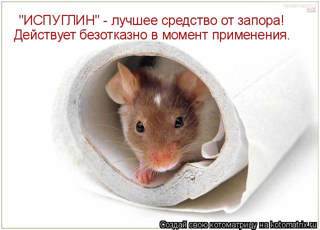 "ИСПУГЛИН" - лучшее средство от запора! Действует безотказно в момент применения.... Котоматрица: "ИСПУГЛИН" - лучшее средство от запора! Действует безотказно в момент применения.