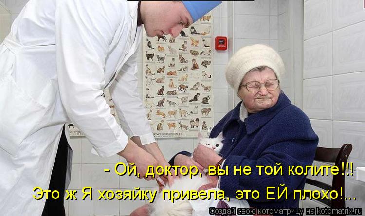 - Ой, доктор, вы не той колите!!! Это ж Я хозяйку привела, это ЕЙ плохо!...... Котоматрица: - Ой, доктор, вы не той колите!!! Это ж Я хозяйку привела, это ЕЙ плохо!...