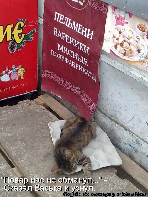 "Повар нас не обманул..." - Сказал Васька и уснул.... Котоматрица: "Повар нас не обманул..." - Сказал Васька и уснул.