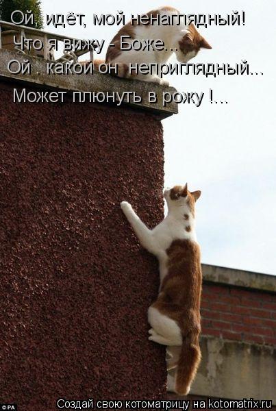 Ой, идёт, мой ненаглядный! Что я вижу - Боже... Ой . какой он неприглядный... Может плюнуть в рожу !... Котоматрица: Ой, идёт, мой ненаглядный! Что я вижу - Боже... Ой . какой он неприглядный... Может плюнуть в рожу !...