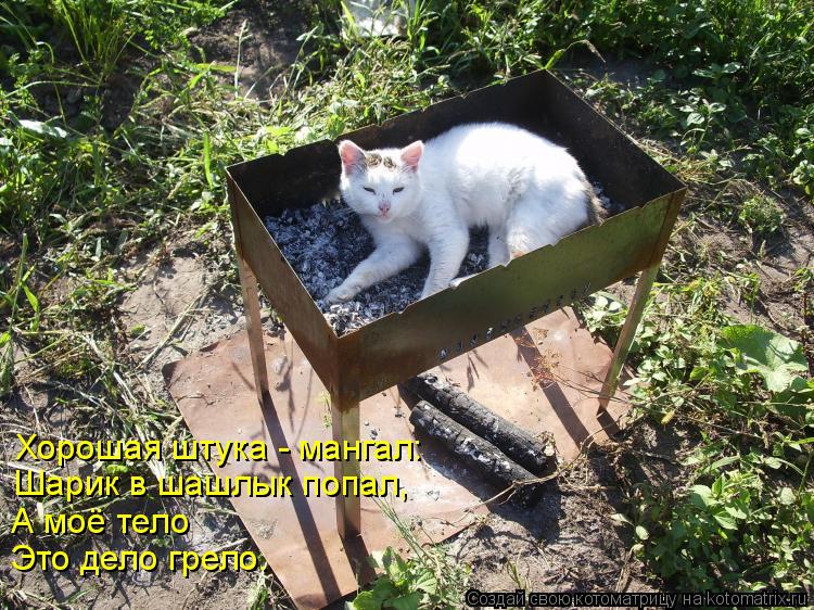 Это дело грело. А моё тело Шарик в шашлык попал, Хорошая штука - мангал:... Котоматрица: Это дело грело. А моё тело Шарик в шашлык попал, Хорошая штука - мангал: