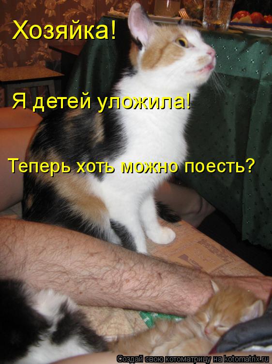 Хозяйка! Я детей уложила! Теперь хоть можно поесть?... Котоматрица: Хозяйка! Я детей уложила! Теперь хоть можно поесть?