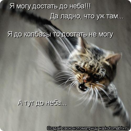 Я могу достать до неба!!! Да ладно, что уж там... Я до колбасы то достать не могу А тут до неба...... Котоматрица: Я могу достать до неба!!! Да ладно, что уж там... Я до колбасы то достать не могу А тут до неба...