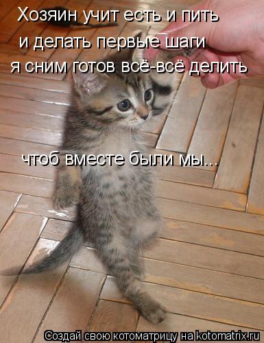 Хозяин учит есть и пить и делать первые шаги я сним готов всё-всё делить чтоб вместе были мы...... Котоматрица: Хозяин учит есть и пить и делать первые шаги я сним готов всё-всё делить чтоб вместе были мы...