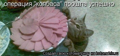 операция "колбаса" прошла успешно... Котоматрица: операция "колбаса" прошла успешно