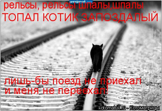 рельсы, рельсы шпалы,шпалы ТОПАЛ КОТИК ЗАПОЗДАЛЫЙ лишь-бы поезд не приехал и меня не переехал!... Котоматрица: рельсы, рельсы шпалы,шпалы ТОПАЛ КОТИК ЗАПОЗДАЛЫЙ лишь-бы поезд не приехал и меня не переехал!