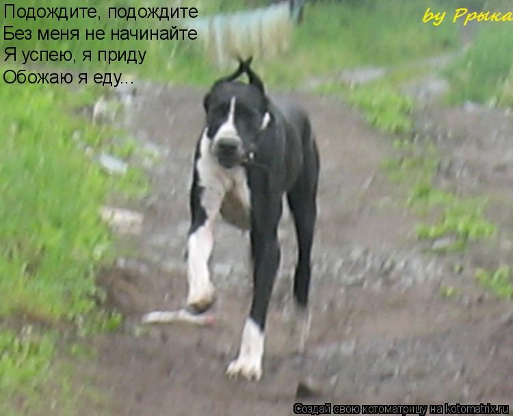 Подождите, подождите Без меня не начинайте Я успею, я приду Обожаю я еду...... Котоматрица: Подождите, подождите Без меня не начинайте Я успею, я приду Обожаю я еду...