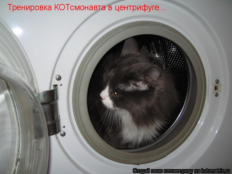 Тренировка КОТсмонавта в центрифуге...... Котоматрица: Тренировка КОТсмонавта в центрифуге...