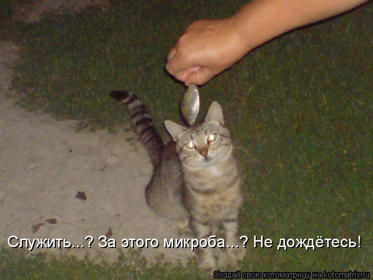 Служить...? За этого микроба...? Не дождётесь!... Котоматрица: Служить...? За этого микроба...? Не дождётесь!