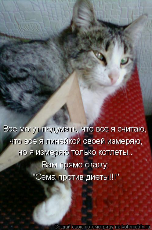 Все могут подумать, что все я считаю, что все я линейкой своей измеряю, но я измеряю только котлет... Котоматрица: Все могут подумать, что все я считаю, что все я линейкой своей измеряю, но я измеряю только котлеты.. Вам прямо скажу: "Сема против диеты!!!"