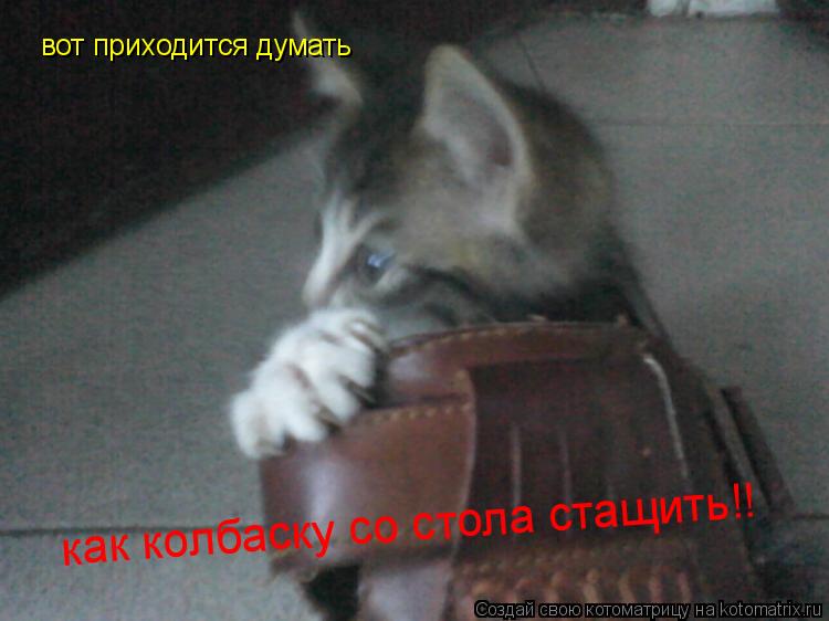 вот приходится думать как колбаску со стола стащить!!... Котоматрица: вот приходится думать как колбаску со стола стащить!!