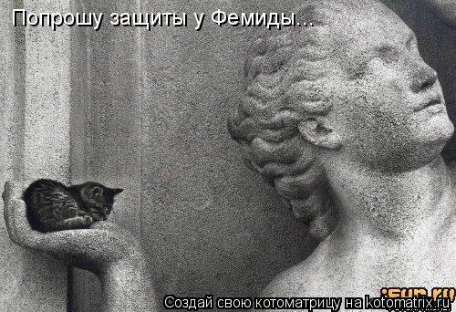 Котоматрица: Попрошу защиты у Фемиды...