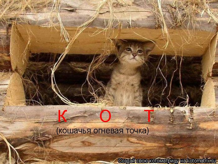Котоматрица: К       О       Т (кошачья огневая точка)