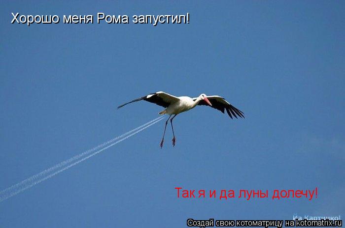 Котоматрица: Хорошо меня Рома запустил! Так я и да луны долечу!