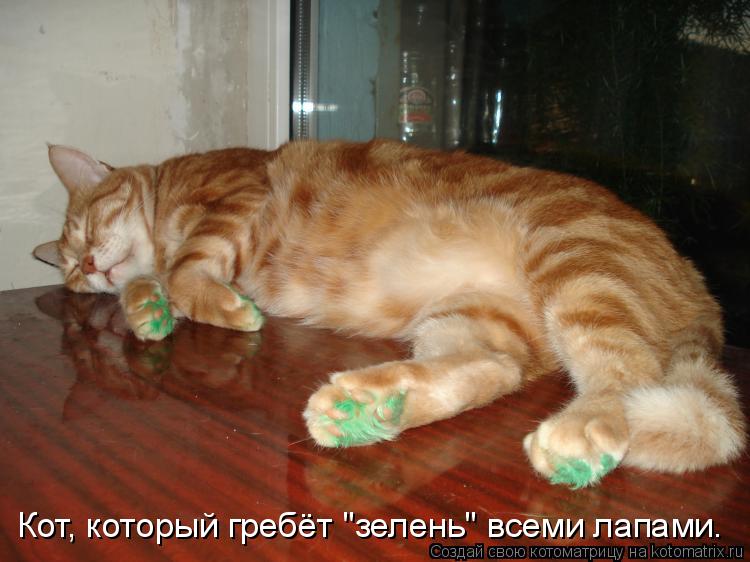 Котоматрица: Кот, который гребёт "зелень" всеми лапами.