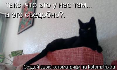 такс..что это у нас там... а это сьедобно?...... Котоматрица: такс..что это у нас там... а это сьедобно?...