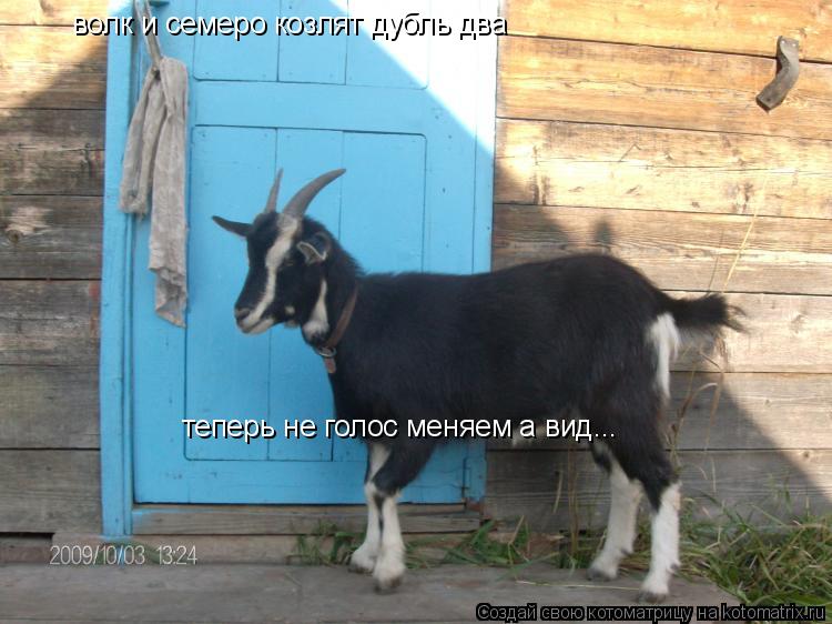 волк и семеро козлят дубль два теперь не голос меняем а вид...... Котоматрица: волк и семеро козлят дубль два теперь не голос меняем а вид...