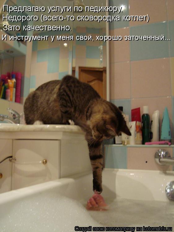 Предлагаю услуги по педикюру, Недорого (всего-то сковородка котлет) Зато качественно. И инструмент у ... Котоматрица: Предлагаю услуги по педикюру, Недорого (всего-то сковородка котлет) Зато качественно. И инструмент у меня свой, хорошо заточенный...