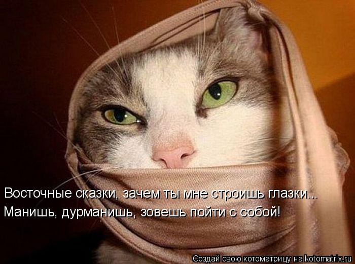 Восточные сказки, зачем ты мне строишь глазки... Манишь, дурманишь, зовешь пойти с собой!... Котоматрица: Восточные сказки, зачем ты мне строишь глазки... Манишь, дурманишь, зовешь пойти с собой!
