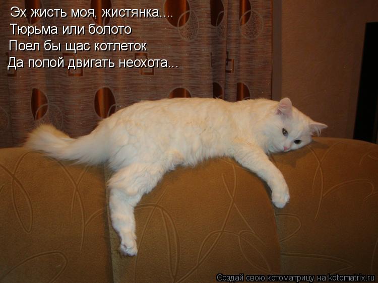 Эх жисть моя, жистянка.... Тюрьма или болото Поел бы щас котлеток Да попой двигать неохота...... Котоматрица: Эх жисть моя, жистянка.... Тюрьма или болото Поел бы щас котлеток Да попой двигать неохота...