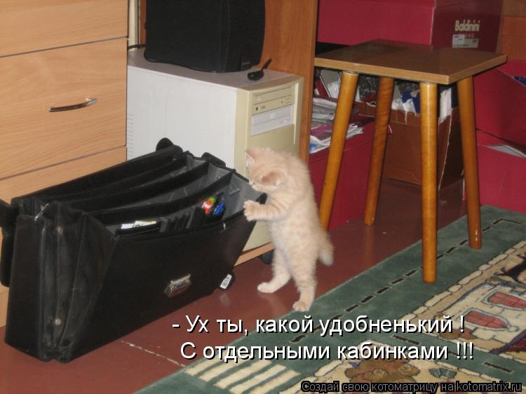 - Ух ты, какой удобненький ! С отдельными кабинками !!!... Котоматрица: - Ух ты, какой удобненький ! С отдельными кабинками !!!