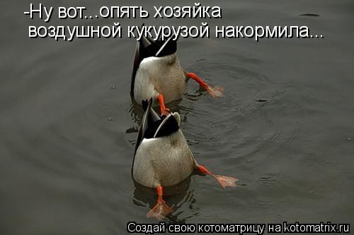 -Ну вот.. .опять хозяйка воздушной кукурузой накормила...... Котоматрица: -Ну вот.. .опять хозяйка воздушной кукурузой накормила...