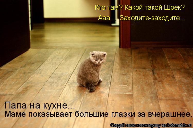 Кто там? Какой такой Шрек? Ааа.... Заходите-заходите... Папа на кухне... Маме показывает большие глаз... Котоматрица: Кто там? Какой такой Шрек? Ааа.... Заходите-заходите... Папа на кухне... Маме показывает большие глазки за вчерашнее...