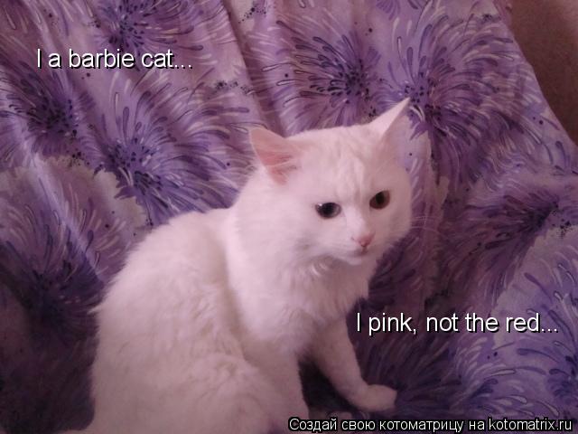I pink, not the red... I a barbie cat...... Котоматрица: I pink, not the red... I a barbie cat...