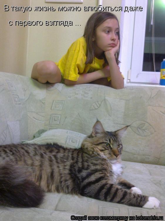 с первого взгляда ... В такую жизнь можно влюбиться даже... Котоматрица: с первого взгляда ... В такую жизнь можно влюбиться даже