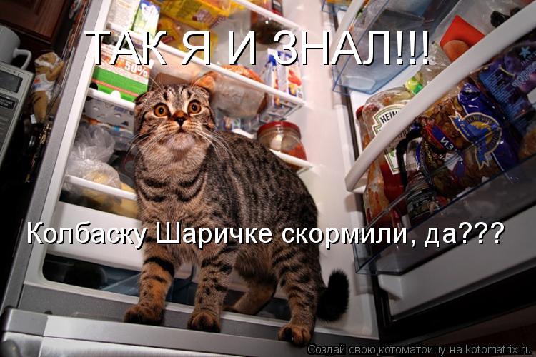 ТАК Я И ЗНАЛ!!! Колбаску Шаричке скормили, да???... Котоматрица: ТАК Я И ЗНАЛ!!! Колбаску Шаричке скормили, да???