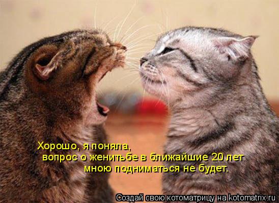 Хорошо, я поняла, вопрос о женитьбе в ближайшие 20 лет мною подниматься не будет.... Котоматрица: Хорошо, я поняла, вопрос о женитьбе в ближайшие 20 лет мною подниматься не будет.