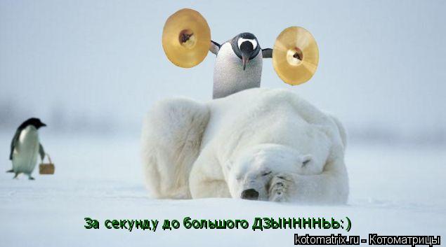 За секунду до большого ДЗЫННННЬЬ:)... Котоматрица: За секунду до большого ДЗЫННННЬЬ:)