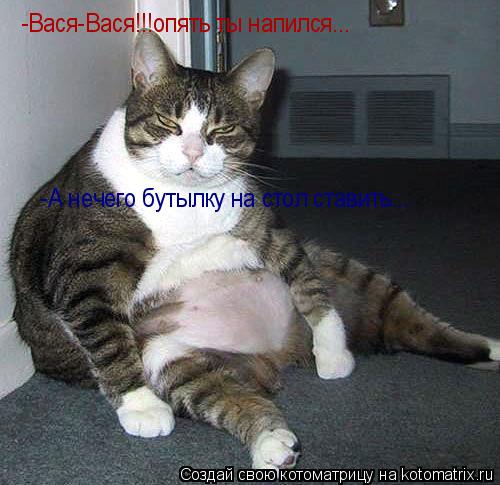 -Вася-Вася!!!опять ты напился... -А нечего бутылку на стол ставить...... Котоматрица: -Вася-Вася!!!опять ты напился... -А нечего бутылку на стол ставить...