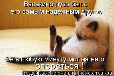 Васькино пузо было его самым надежным другом... Он в любую минуту мог на него опереться !... Котоматрица: Васькино пузо было его самым надежным другом... Он в любую минуту мог на него опереться !
