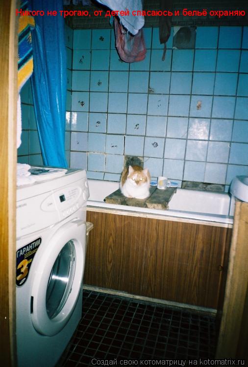 Никого не трогаю, от детей спасаюсь и бельё охраняю... Котоматрица: Никого не трогаю, от детей спасаюсь и бельё охраняю