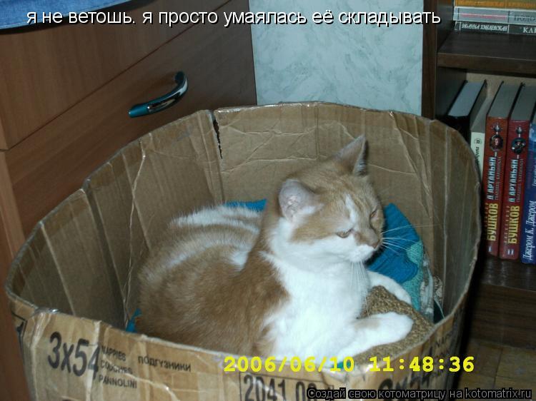 я не ветошь. я просто умаялась её складывать... Котоматрица: я не ветошь. я просто умаялась её складывать