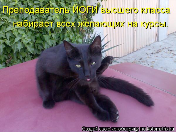 Преподаватель ЙОГИ высшего класса набирает всех желающих на курсы.... Котоматрица: Преподаватель ЙОГИ высшего класса набирает всех желающих на курсы.