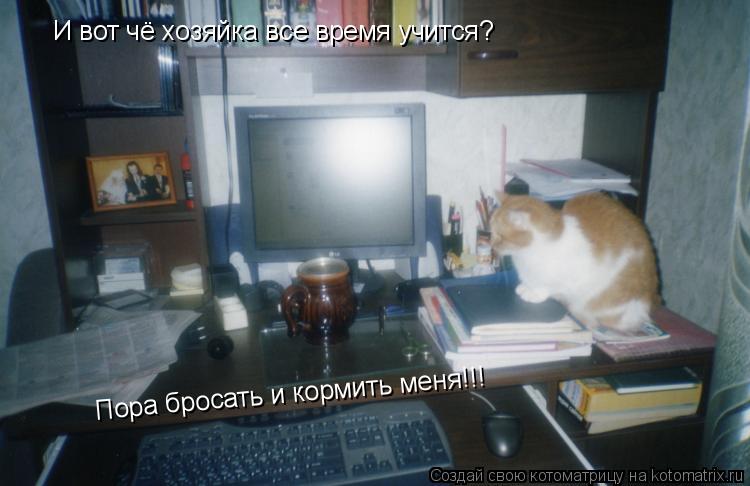 И вот чё хозяйка все время учится? Пора бросать и кормить меня!!!... Котоматрица: И вот чё хозяйка все время учится? Пора бросать и кормить меня!!!