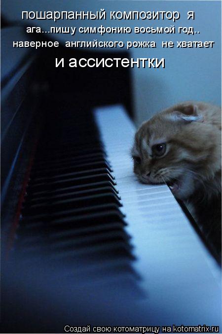 пошарпанный композитор я ага...пишу симфонию восьмой год.. наверное английского рожка не хватает... Котоматрица: пошарпанный композитор я ага...пишу симфонию восьмой год.. наверное английского рожка не хватает и ассистентки