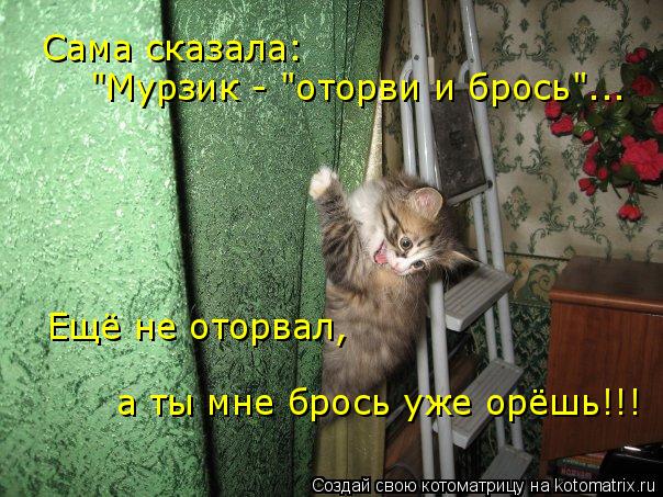 Сама сказала: "Мурзик - "оторви и брось"... Ещё не оторвал, а ты мне брось уже орёшь!!!... Котоматрица: Сама сказала: "Мурзик - "оторви и брось"... Ещё не оторвал, а ты мне брось уже орёшь!!!