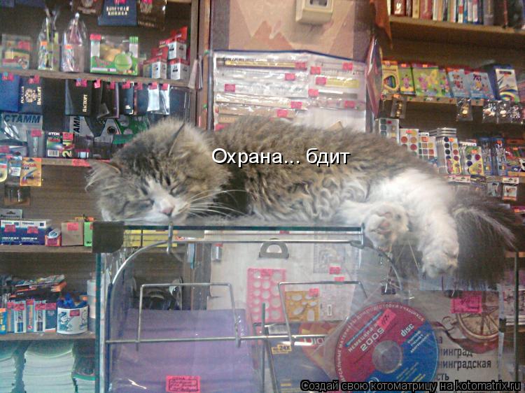 Охрана... бдит... Котоматрица: Охрана... бдит