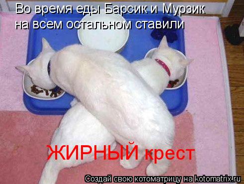 Во время еды Барсик и Мурзик на всем остальном ставили ЖИРНЫЙ крест... Котоматрица: Во время еды Барсик и Мурзик на всем остальном ставили ЖИРНЫЙ крест
