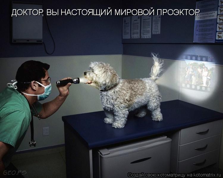 ДОКТОР, ВЫ НАСТОЯЩИЙ МИРОВОЙ ПРОЭКТОР... Котоматрица: ДОКТОР, ВЫ НАСТОЯЩИЙ МИРОВОЙ ПРОЭКТОР
