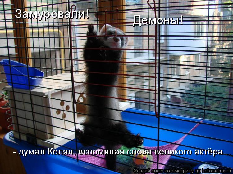 Замуровали! Демоны! - думал Колян, вспоминая слова великого актёра...... Котоматрица: Замуровали! Демоны! - думал Колян, вспоминая слова великого актёра...