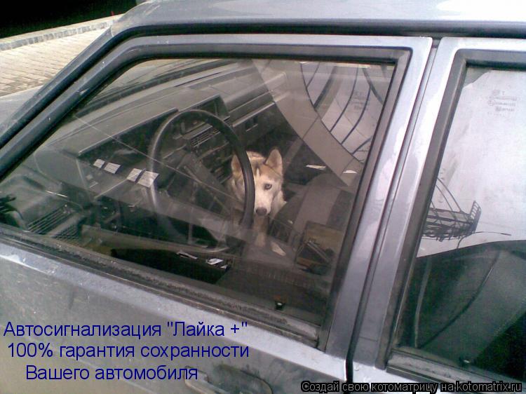 Автосигнализация "Лайка +" 100% гарантия сохранности Вашего автомобиля... Котоматрица: Автосигнализация "Лайка +" 100% гарантия сохранности Вашего автомобиля