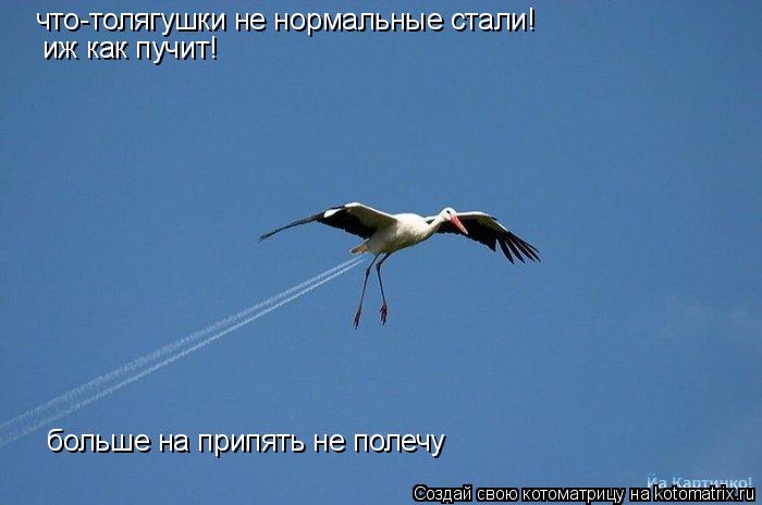 что-толягушки не нормальные стали! иж как пучит! больше на припять не полечу... Котоматрица: что-толягушки не нормальные стали! иж как пучит! больше на припять не полечу