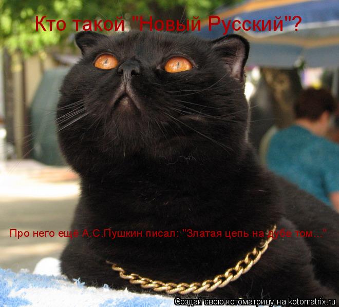 Кто такой "Новый Русский"? Про него ещё А.С.Пушкин писал: "Златая цепь на дубе том..."... Котоматрица: Кто такой "Новый Русский"? Про него ещё А.С.Пушкин писал: "Златая цепь на дубе том..."