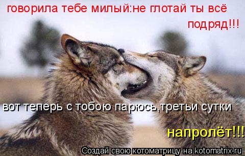говорила тебе милый:не глотай ты всё подряд!!! вот теперь с тобою парюсь,третьи сутки напролёт!!!... Котоматрица: говорила тебе милый:не глотай ты всё подряд!!! вот теперь с тобою парюсь,третьи сутки напролёт!!!
