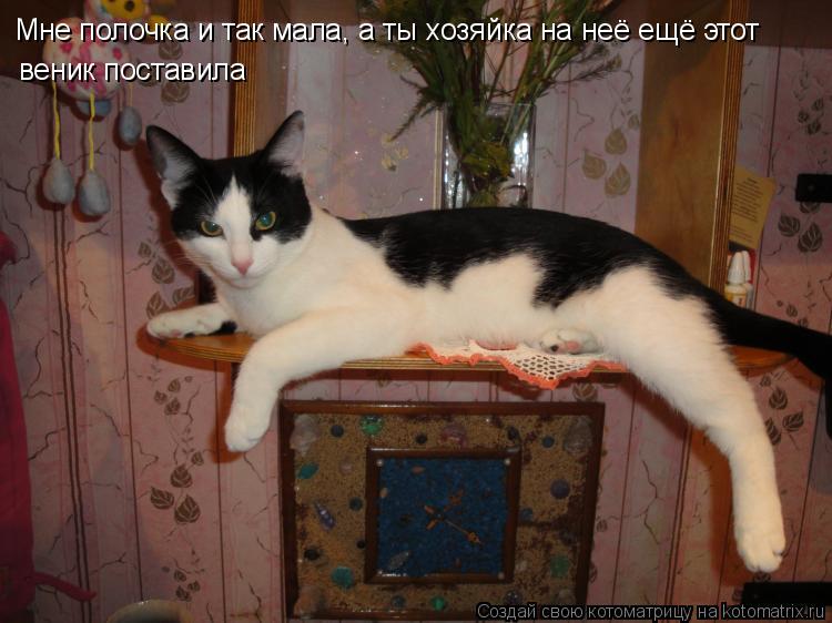 веник поставила Мне полочка и так мала, а ты хозяйка на неё ещё этот... Котоматрица: веник поставила Мне полочка и так мала, а ты хозяйка на неё ещё этот