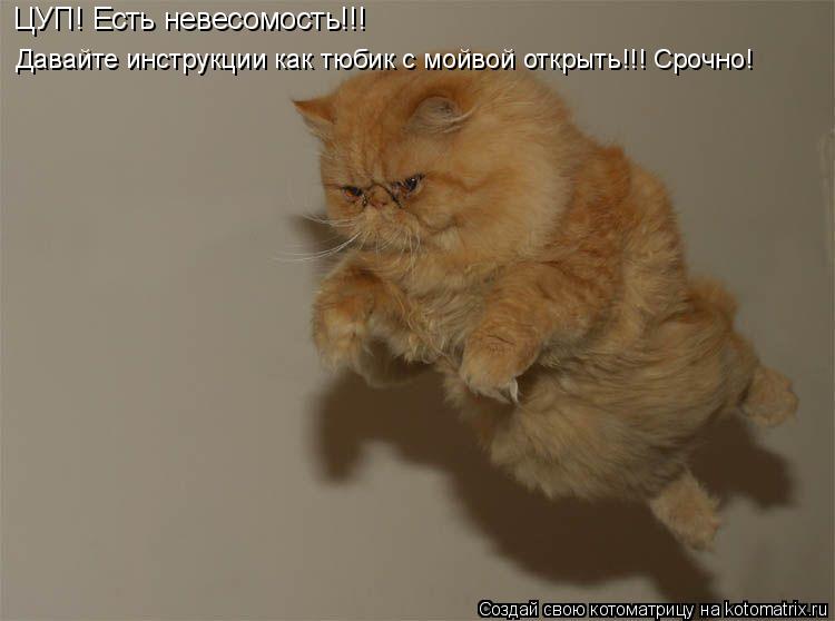ЦУП! Есть невесомость!!! Давайте инструкции как тюбик с мойвой открыть!!! Срочно!... Котоматрица: ЦУП! Есть невесомость!!! Давайте инструкции как тюбик с мойвой открыть!!! Срочно!